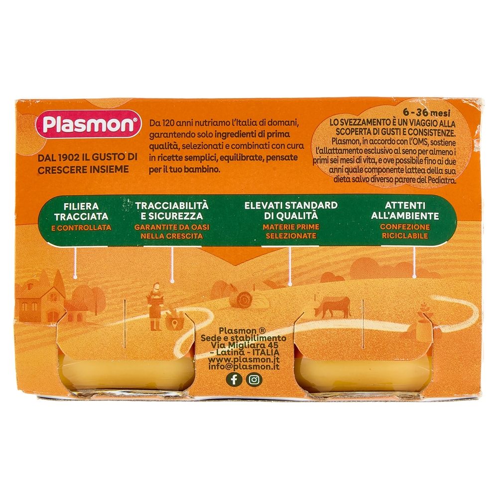 Plasmon Omogeneizzato con fermenti lattici pastorizzati Albicocca e Yogurt 2 x 120 g