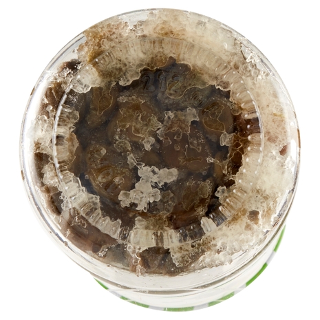 Saclà Capperi al Sale Marino 130 g