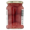Ponti Cipolline Borettane 300 g