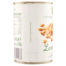 Lenticchie BIO Il Viaggiator Goloso