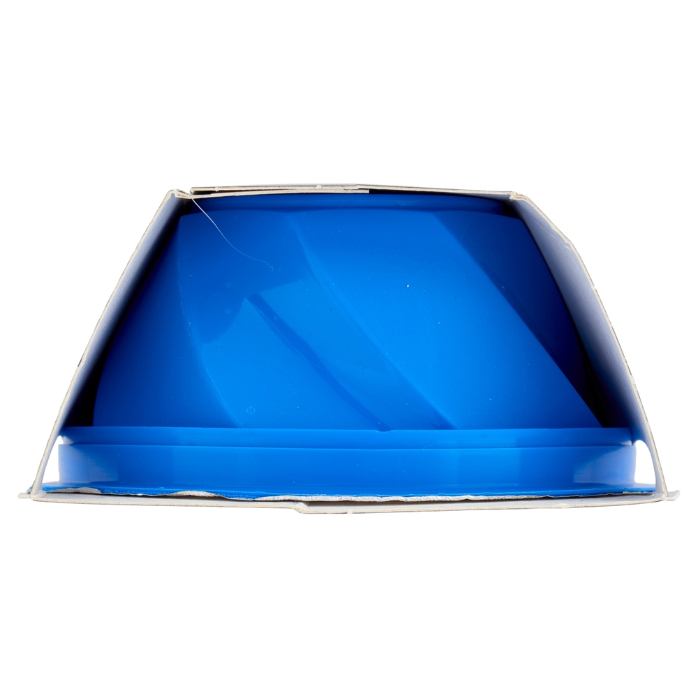 dolfin sensofreddo il sorbetto con succo di limone di Sicilia 2 x 100 ml