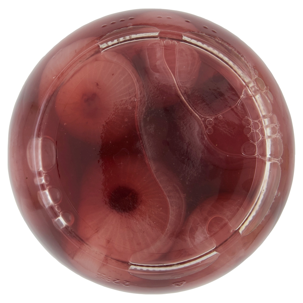 Cipolle Borettane in Aceto di Vino Rosso Il Viaggiator Goloso