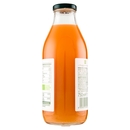 Mela e Carota BIO Il Viaggiator Goloso