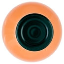 Mela e Carota BIO Il Viaggiator Goloso