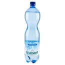 LEVISSIMA, Acqua Frizzante R-PET 25% 1,5 L