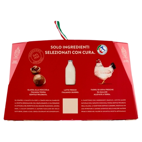 Galup il Panettone Goloso con Glassa alle Nocciole 1000 g