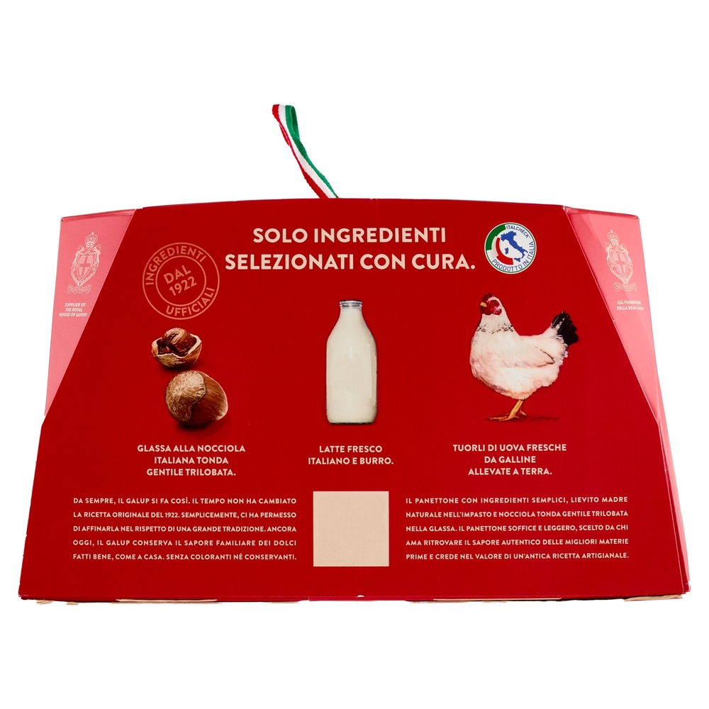 Galup il Panettone Goloso con Glassa alle Nocciole 1000 g