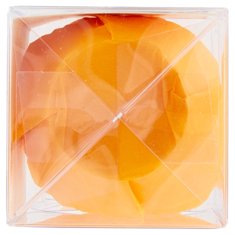 F.lli Rebecchi Valtrebbia I Love Shabby Chic Pirottini Tulipano in Carta da Forno per Muffins 20 pz