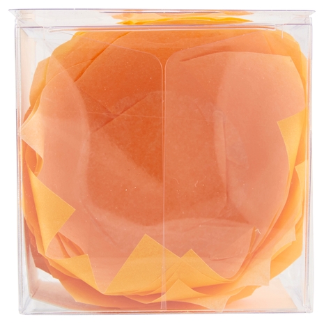 F.lli Rebecchi Valtrebbia I Love Shabby Chic Pirottini Tulipano in Carta da Forno per Muffins 20 pz