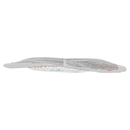 almo nature HFC Adult & Mature Cat con Manzo 70 g