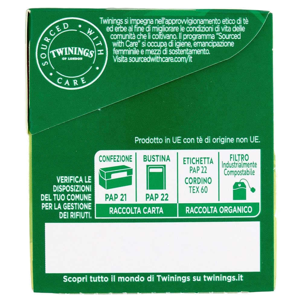 Twinings Pure Green Tea Tè Verde Antiossidante 25 filtri The 50 g
