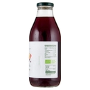 Melagrana, Mela, Uva e Ribes Nero BIO Il Viaggiator Goloso