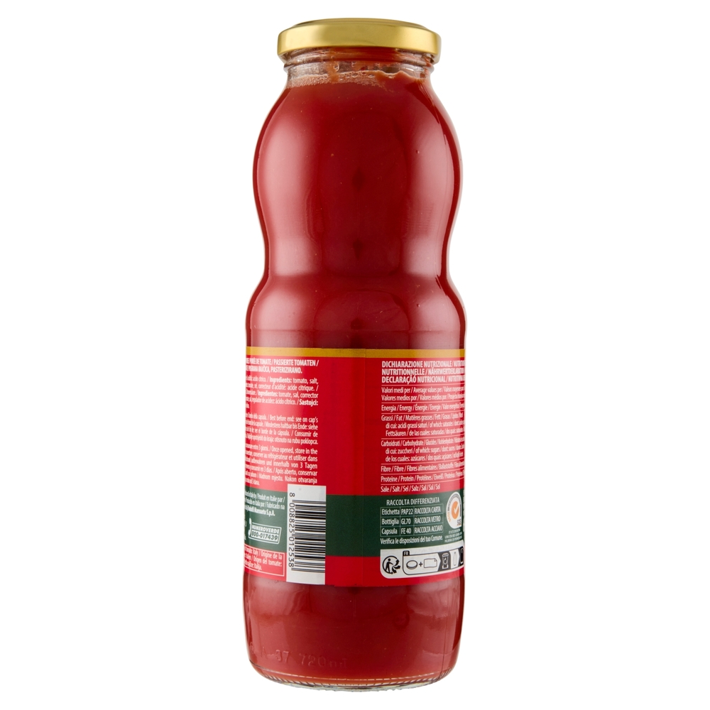 Rodolfi Passata Classica 690g