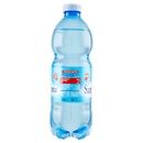 Sant'Anna di Vinadio Frizzante 0,5 L