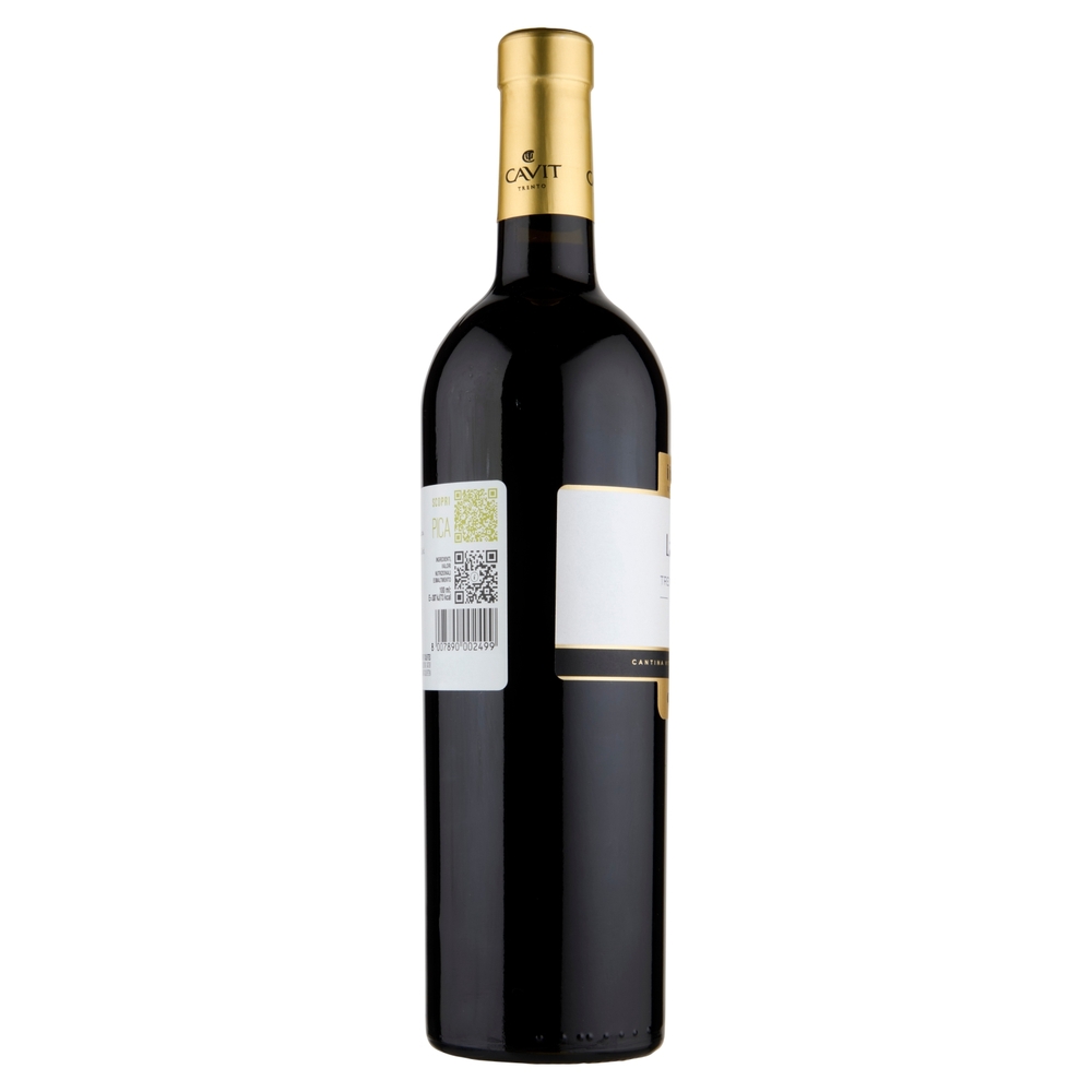 Cavit i Mastri Vernacoli Lagrein Trentino DOC 75 cl