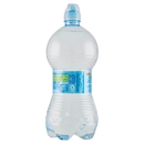 Sant'Anna 750 Sport Naturale Sorgente Rebruant Vinadio 0,75 Litri