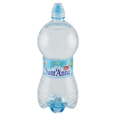 Sant'Anna 750 Sport Naturale Sorgente Rebruant Vinadio 0,75 Litri
