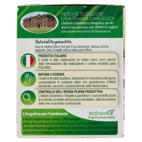 L'Angelica Le Tisane Giusta Regola Active 18 Filtri 36 g