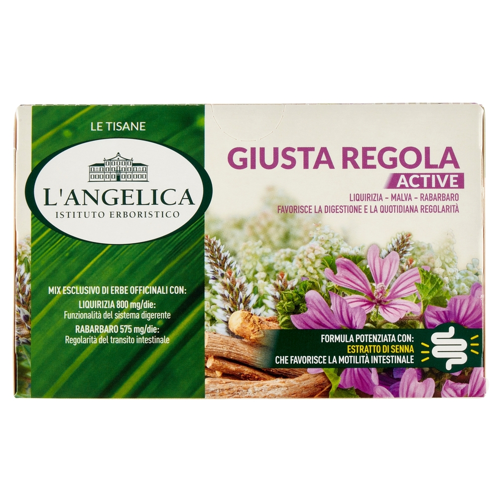 Tisana Nutraceutica Giusta Regola, 40 g, 20 Pezzi