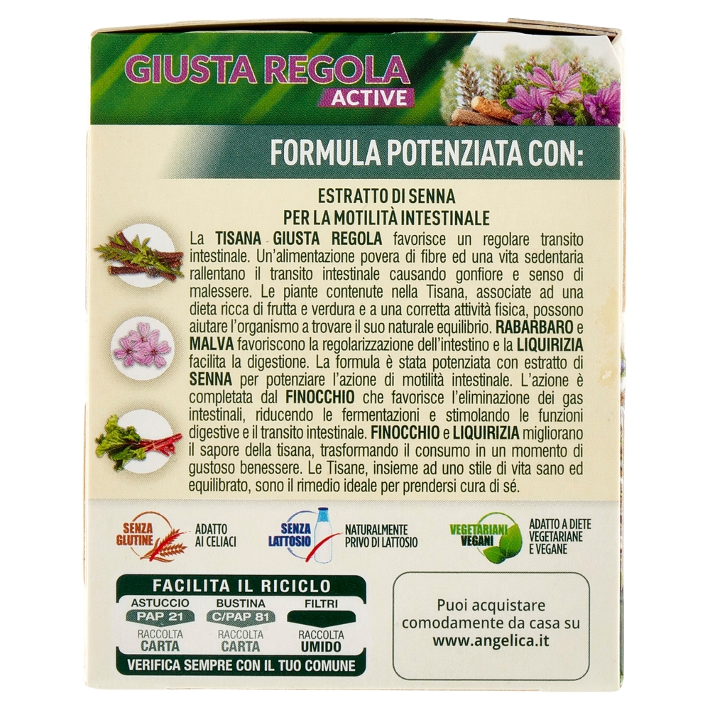 L'Angelica Nutraceutica le Tisane Giusta Regola 20 Filtri 40 g - Dispensa -  Supermercati Gecop