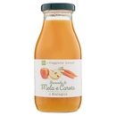 BEVANDA DI MELA E CAROTA il Viaggiator Goloso il Biologico