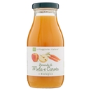 BEVANDA DI MELA E CAROTA il Viaggiator Goloso il Biologico