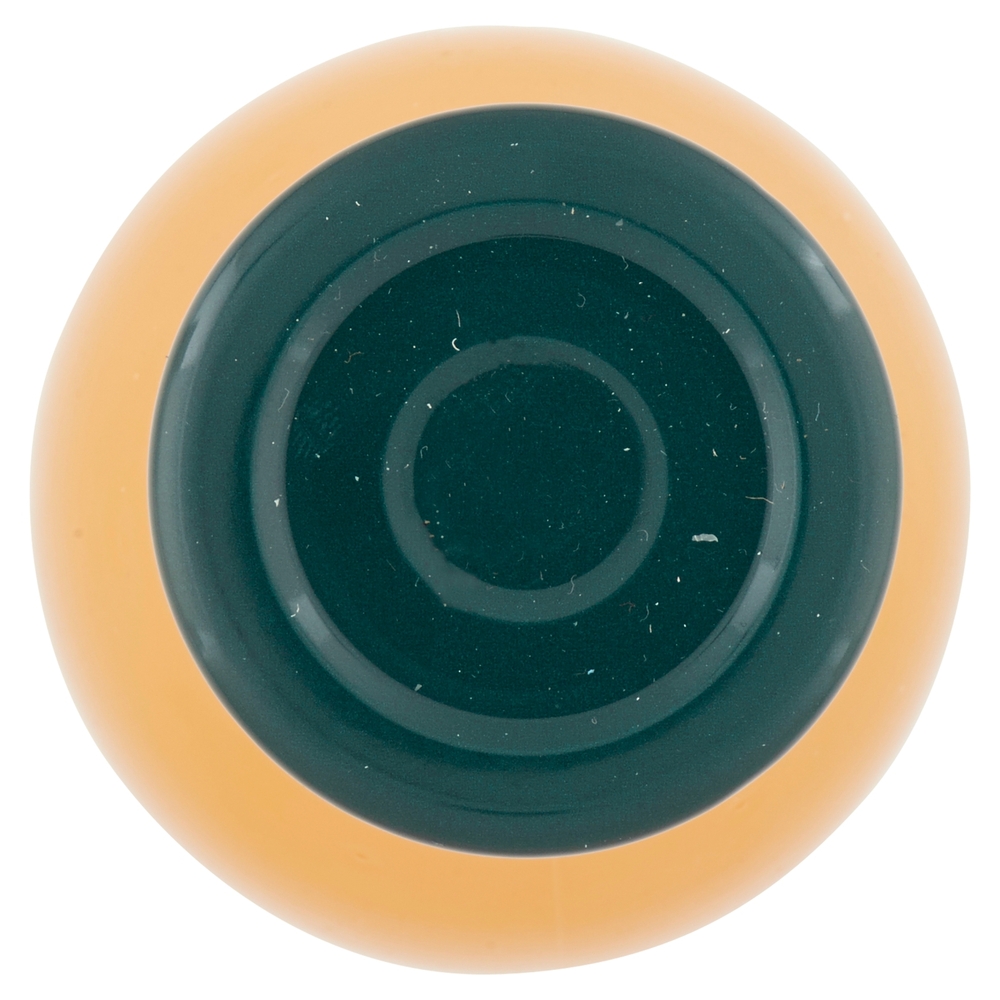 BEVANDA DI MELA E CAROTA il Viaggiator Goloso il Biologico