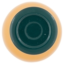 BEVANDA DI MELA E CAROTA il Viaggiator Goloso il Biologico