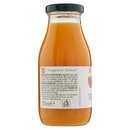 BEVANDA DI MELA E CAROTA il Viaggiator Goloso il Biologico