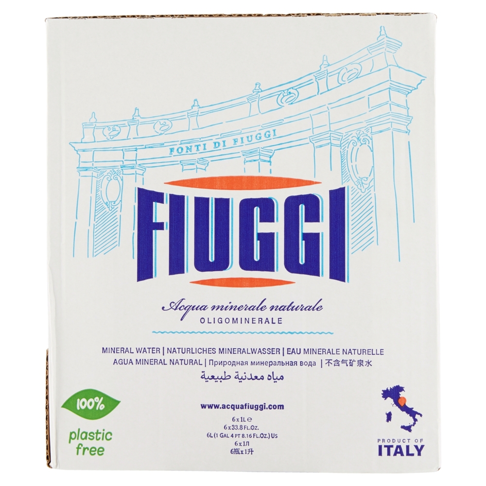Fiuggi Acqua minerale naturale  Oligominerale 6 x 1 L