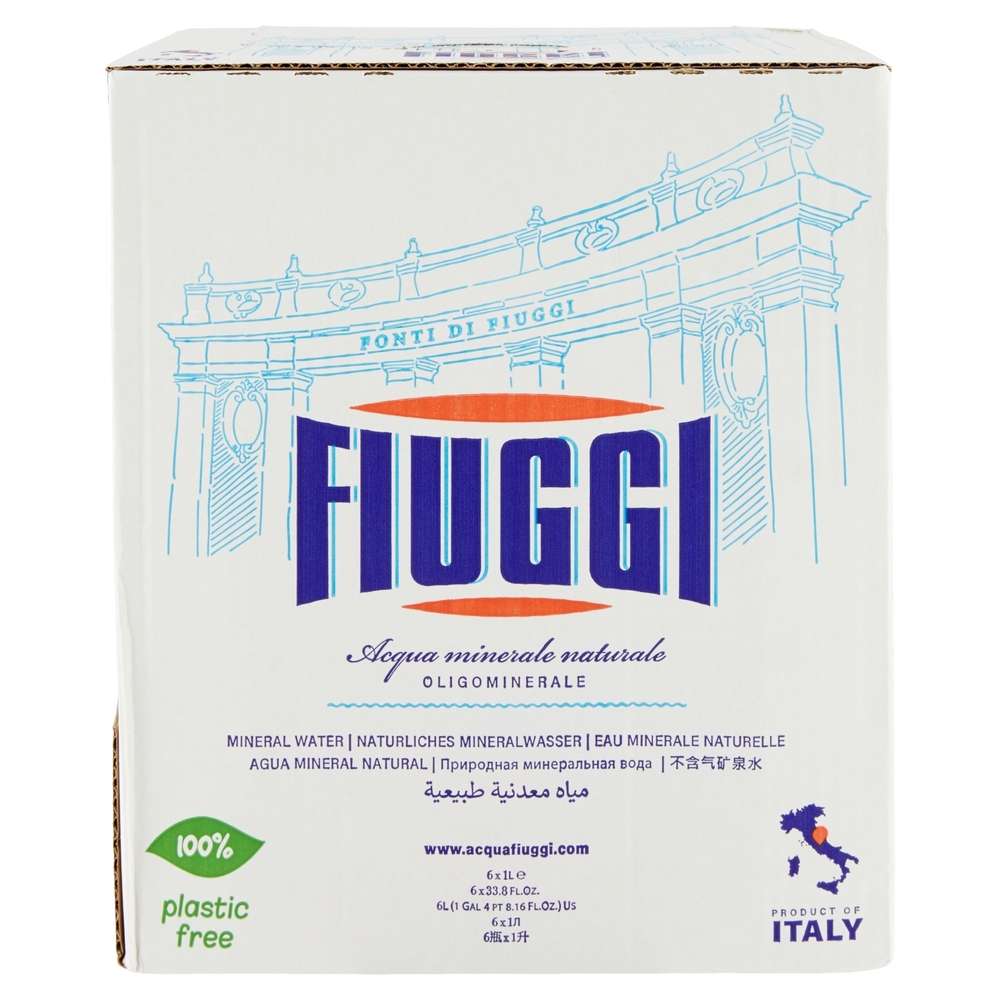 Fiuggi Acqua minerale naturale  Oligominerale 6 x 1 L