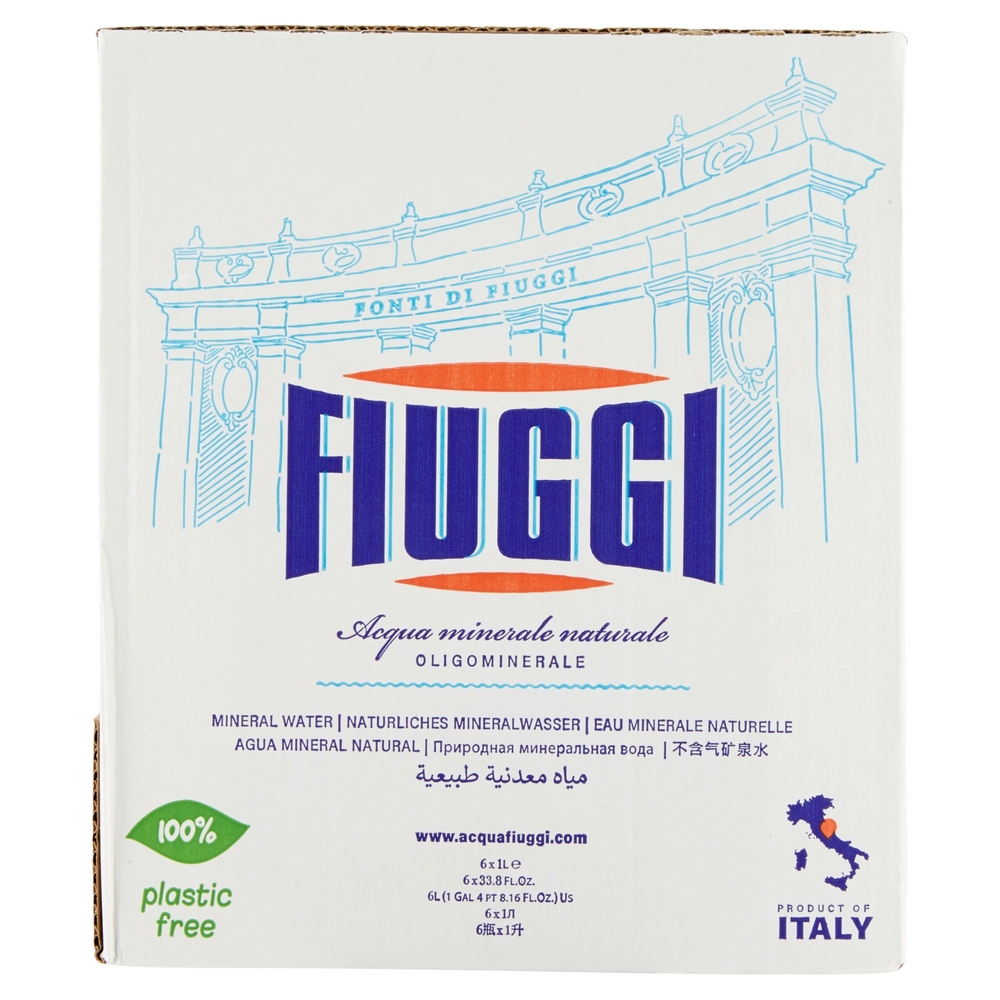 Fiuggi Acqua minerale naturale  Oligominerale 6 x 1 L