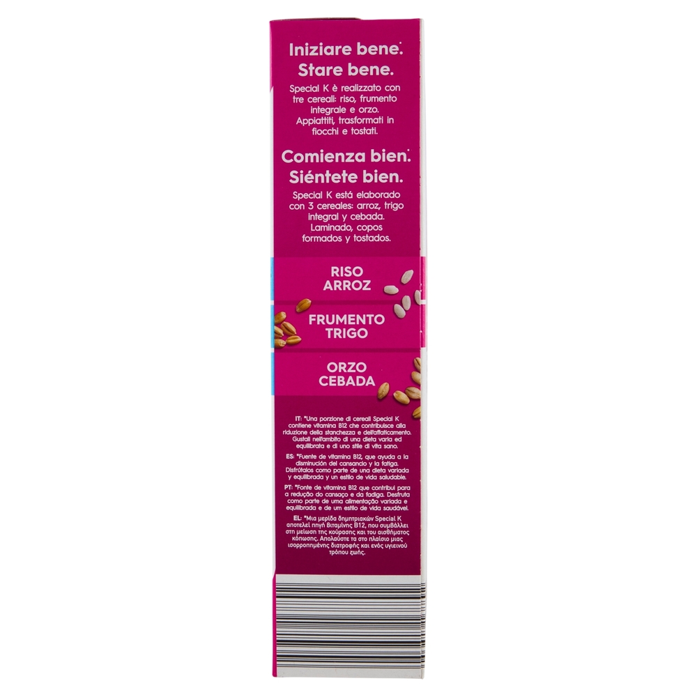 Kellogg's Special K Red Fruits 290 g