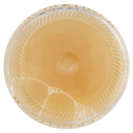 Pompelmo BIO Il Viaggiator Goloso