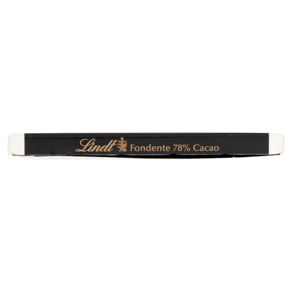 Lindt Excellence Tavoletta Cioccolato Fondente 78% 100 g