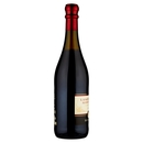 Lambrusco mantovano secco DOC