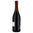 Lambrusco mantovano secco DOC