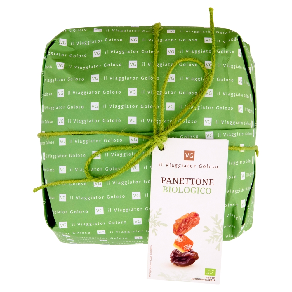 Panettone BIO Il Viaggiator Goloso