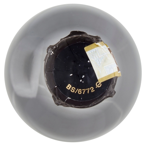 Franciacorta DOCG Satèn BIO Il Viaggiator Goloso