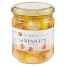 Lampascioni Il Viaggiator Goloso