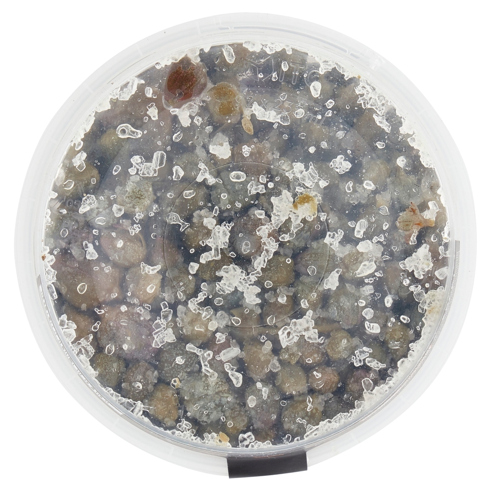 Capperi al Sale Il Viaggiator Goloso