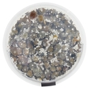 Capperi al Sale Il Viaggiator Goloso