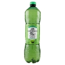 San Benedetto Thè Verde & Cactus 1,5L