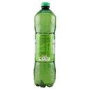 San Benedetto Thè Verde & Cactus 1,5L