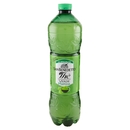San Benedetto Thè Verde & Cactus 1,5L