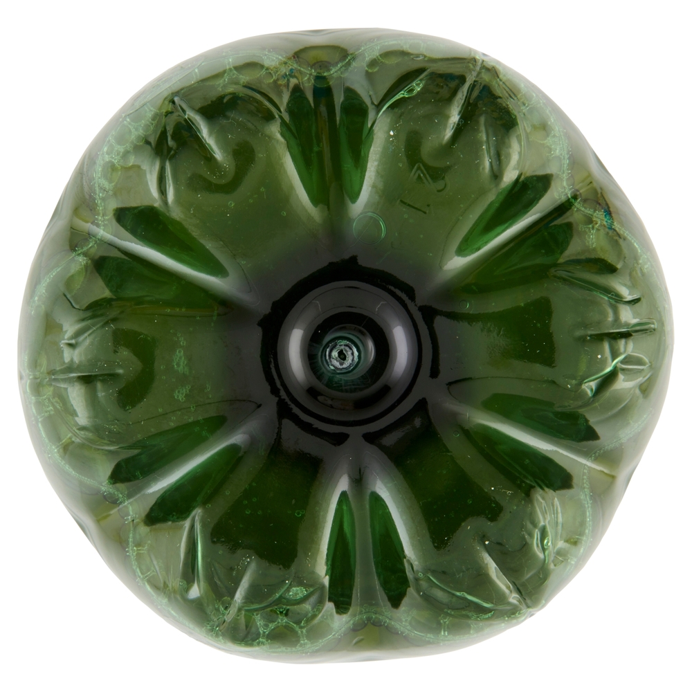 San Benedetto Thè Verde & Cactus 1,5L