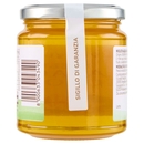 Miele di Acacia BIO Il Viaggiator Goloso