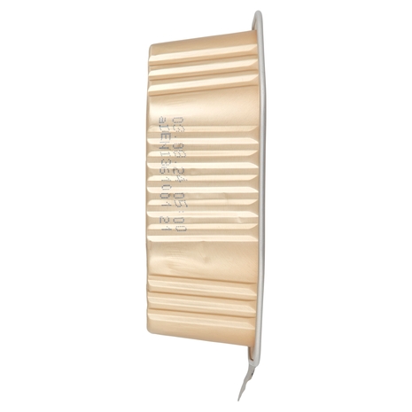 Cesar senior 10+ con Tenero Pollo e Riso 150 g