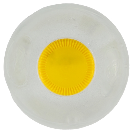 Schweppes Tonica PET 1 L