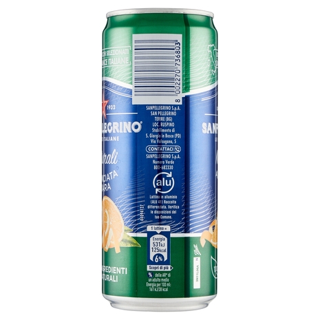 SANPELLEGRINO Naturali Aranciata Amara 33 cl